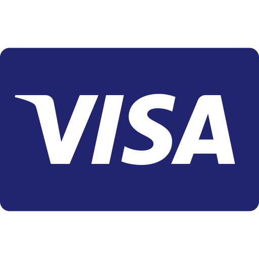 Visa logo on a blue background showing Noor & Grace payment methods 